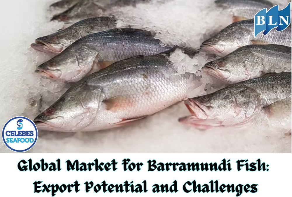 Global Market for Barramundi Fish: Export Potential and Challenges